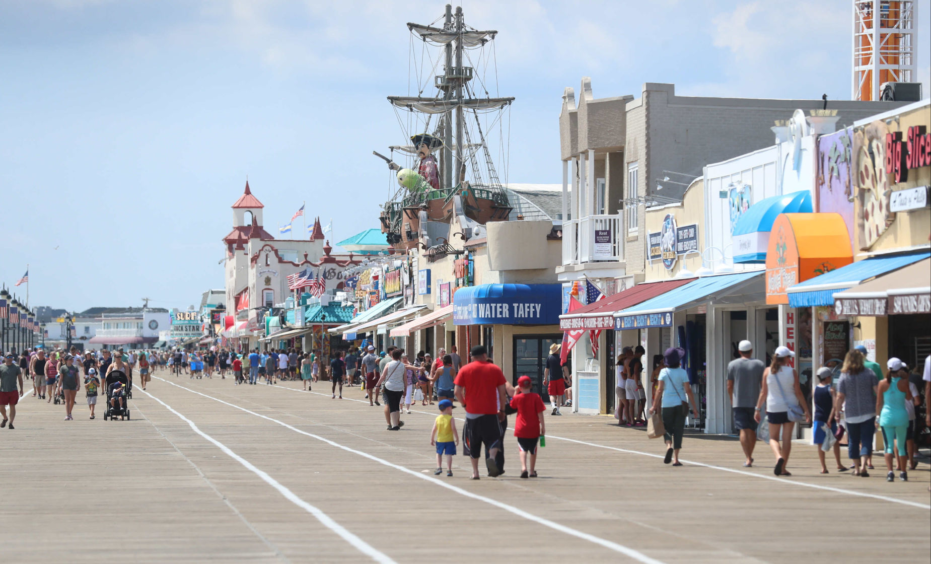 Ocean City Birds